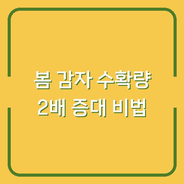 2026년 봄 감자 심기 수확량 2배로 늘리는 시기와 재배법