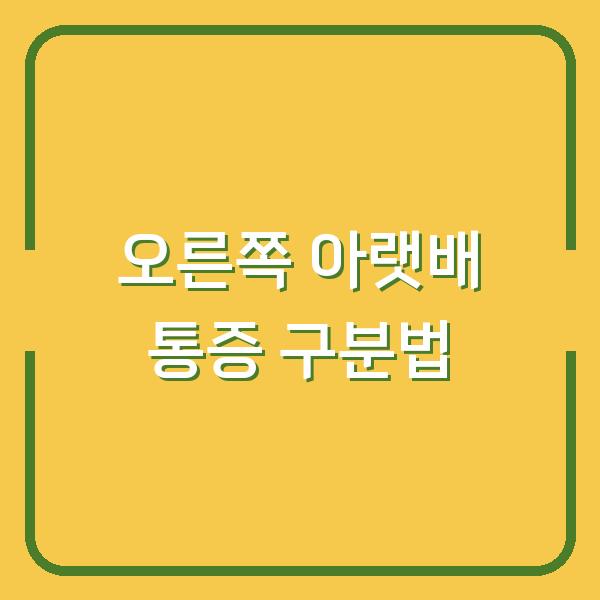 오른쪽 아랫배 찌릿할 때 맹장염인지 여성 질환인지 구분하는 법