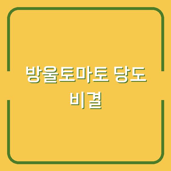 방울토마토 소금 한 스푼과 가지치기로 당도가 확 달라집니다