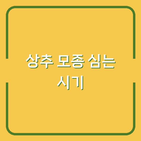 올해 상추 모종 심는 시기, 이렇게 하면 2주 일찍 수확합니다