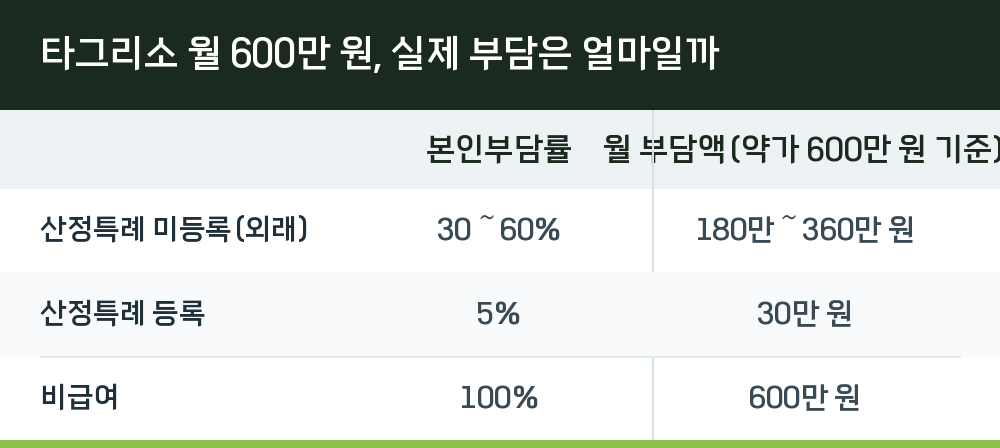타그리소 월 600만 원, 실제 부담은 얼마일까