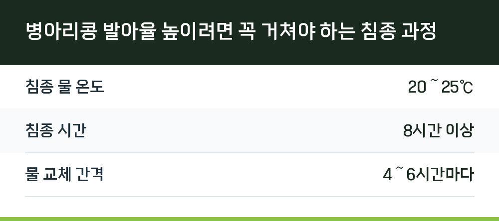 병아리콩 발아율 높이려면 꼭 거쳐야 하는 침종 과정