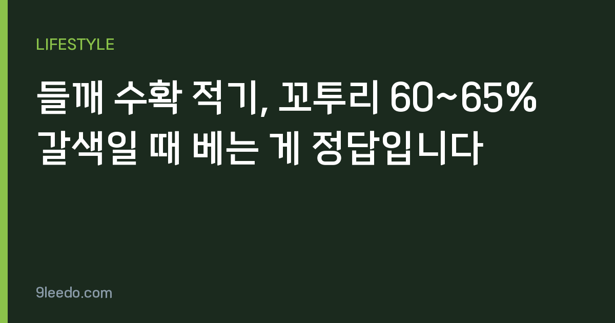 들깨 수확 적기, 꼬투리 60~65% 갈색일 때 베는 게 정답입니다